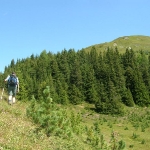 Gipfel des Hundegg in Sichtweite