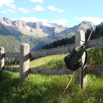 Der Blick zurück