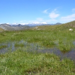 Bergsee, keiner gleich wie der andere