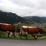 Blick hinab auf Großarl