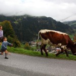 Mit Riesentempo geht´s dem Talboden zu