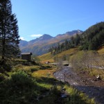 Ruhe kehrt jetzt ein auf der Alm