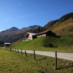 Ruhe kehrt jetzt ein auf der Alm