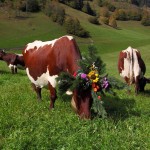 Stärkung nach langem Heimmarsch