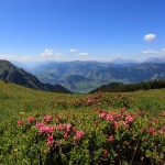 Blick ins Pinzgauer Salzachtal Richtung Zell am See