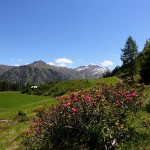 Blick von der Hirschgrubenalm zu Klingspitz und Nebelkareck