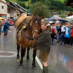 Festumzug Großarl