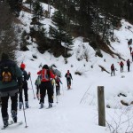 Gemütlicher Aufstieg zur Karseggalm