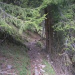 Der alte Almsteig Großarltal