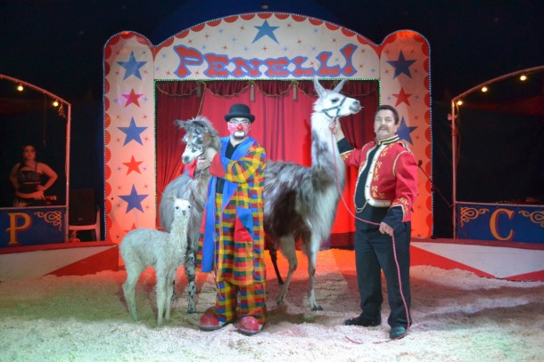 Circus Penelli - Magnet für Familien