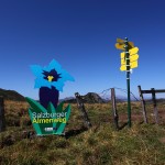 Am Draugsteintörl - wir sind am "Salzburger Almenweg"