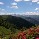Blick zum Keeskogel und die Hohen Tauern