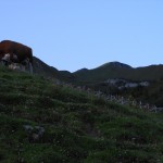 Blick zurück zum noch leicht in der Sonne stehenden Scheibenkopf