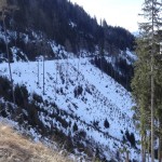 Einhänge im Alpendorf, die bei großen Schneemengen eine Gefährdung der Großarler Landesstraße darstellen könnten