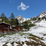 Mehrere kleine Hütten liegen rings um die Filzmoosalm, dahinter das Gamsköpfl und der Draugstein