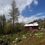 Die Filzmoosalm (1.710 m) im Großarltal, zwischen Schnee und Blumen