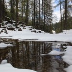 In den kleinen Lacken spiegelt sich die urwüchsige Landschaft