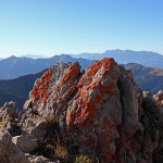 Rot Flechten zieren das Kalkgestein beim Aufstieg zum Draugstein