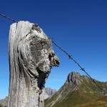 Dieser alte Zaunpfahl hat wohl schon viele Wanderer vorbeigehen sehen