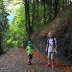 Idyllisch geht´s durch den Buchen-Mischwald