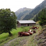 Zischenziel Mandl-Heimalm