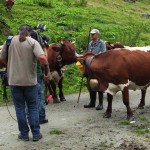 Dreharbeiten an der Kreealm