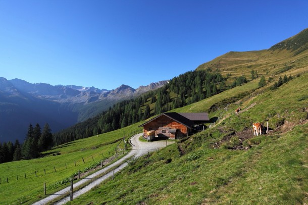 Die Vorderkaseralm - umrahmt von einer hochalpinen Gebirgskulisse