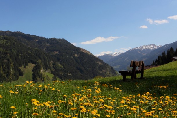 Rastplatz am Hedegg-Rundweg in Großarl