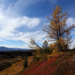 Herbstliche Farbenpracht