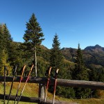 Nach kurzer Rast geht´s weiter zur Weißalm und Loosbühelalm