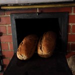 Frisch aus dem Backofen