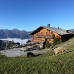 Die Gerstreitalm in Großarl - der Anblick ein Genuss - der anschließende Kaffee auch