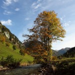 Herbst an der Großarler Ache in Hüttschlag 2