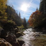 Herbst an der Großarler Ache 4