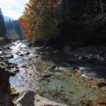 Herbst an der Großarler Ache 3