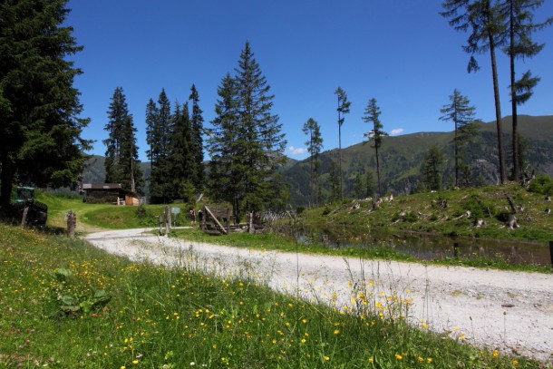 Wandern am Güterweg