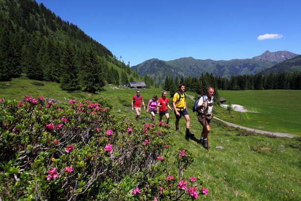 Letzte Woche an der Hirschgrubenalm