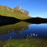 Morgens am Schuhflickersee