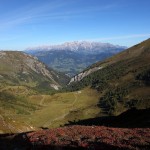 Unten die Schernbergalm, oben der Hochkönig