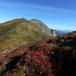 Blick zur Höllwand