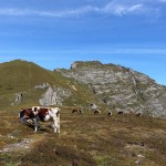 Hochplateau am Schiedreitspitz