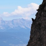 Bergdohle vor dem Abflug