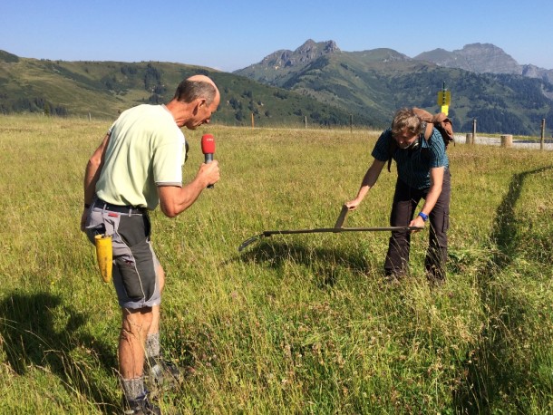 Der Pistenchef kommentiert das Ergebnis des Wanderwegmähens