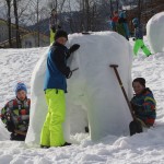 Eisbär im Feinschliff