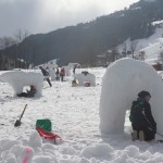 Überall im Feld wird gearbeitet