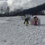 Die Eisbärenfarm nimmt mehr und mehr Gestalt an