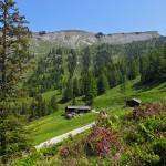 Die Karseggalm, darüber die "Gabel" (Kitzstein) mit 2 Bergrücken