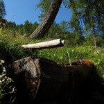 Brunnen kurz vor der Karteisalm