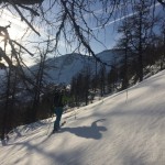 Erste Sonnenstrahlen im Alpswald