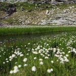 Hier tobt sich die Natur nochmals aus und zeigt was sie kann ...